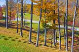 Natchez Trace Parkway_24620